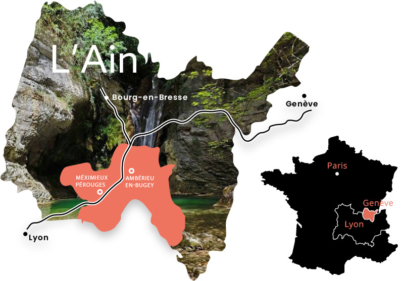 Venir chez nous