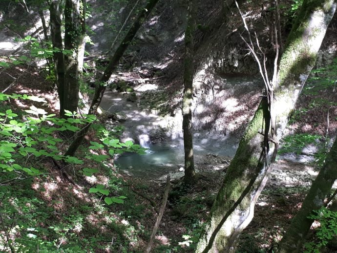 Balade contée : les rencontres sauvages de la rivière_Bénonces