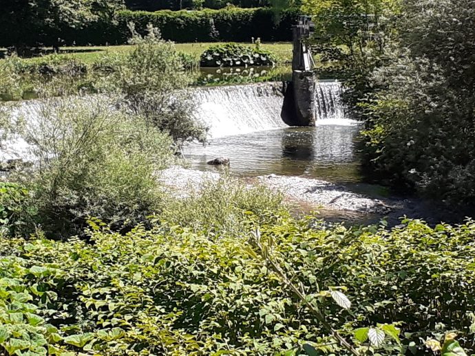 rivière Albarine