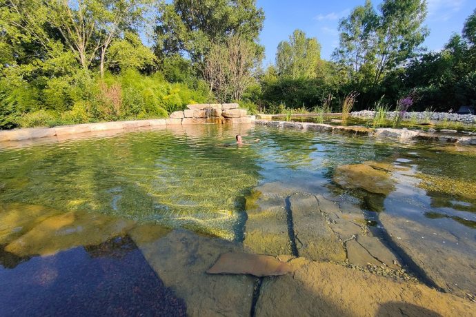Bassin naturel