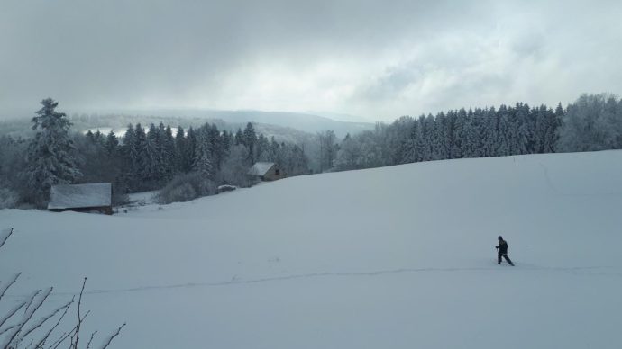 Luisandre sous la neige