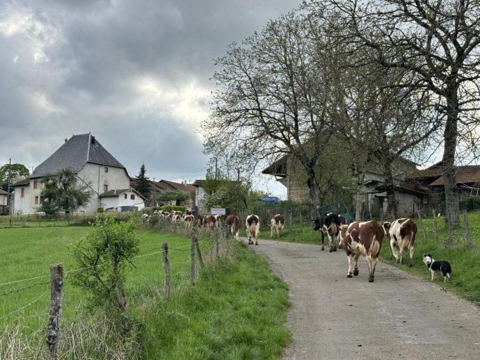 Entre d’indrieux